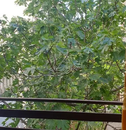 Appartement Tonci